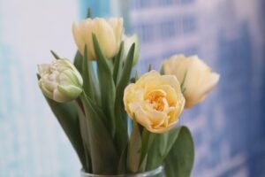 Jak wygląda zaskroniec od spodu